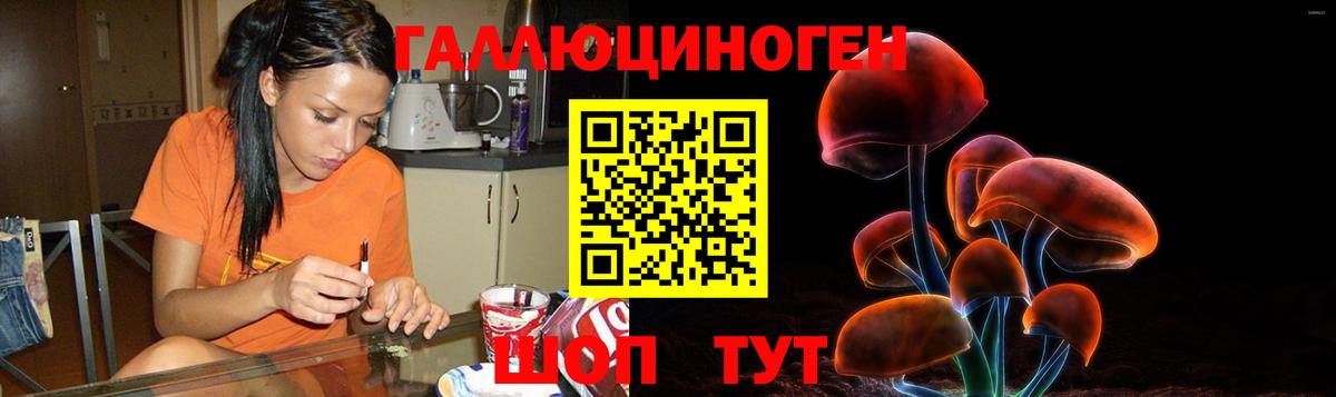 Псилоцибиновые грибы Cubensis Тобольск